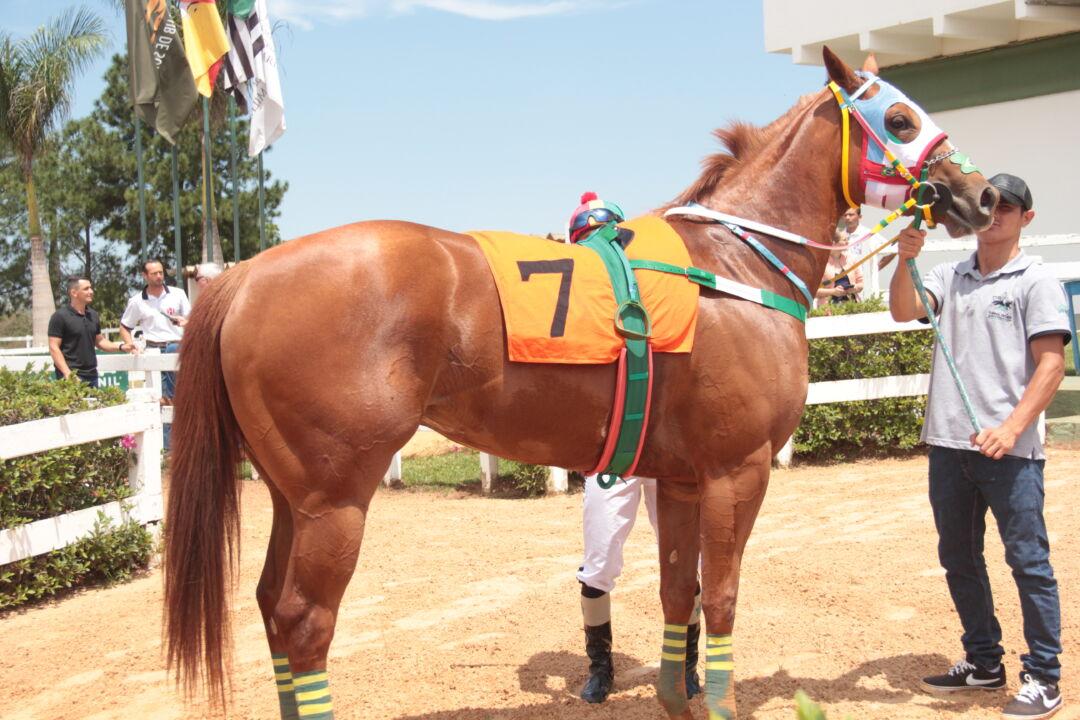 Miss Isao JQM se consagra como Tríplice Coroada na Corrida