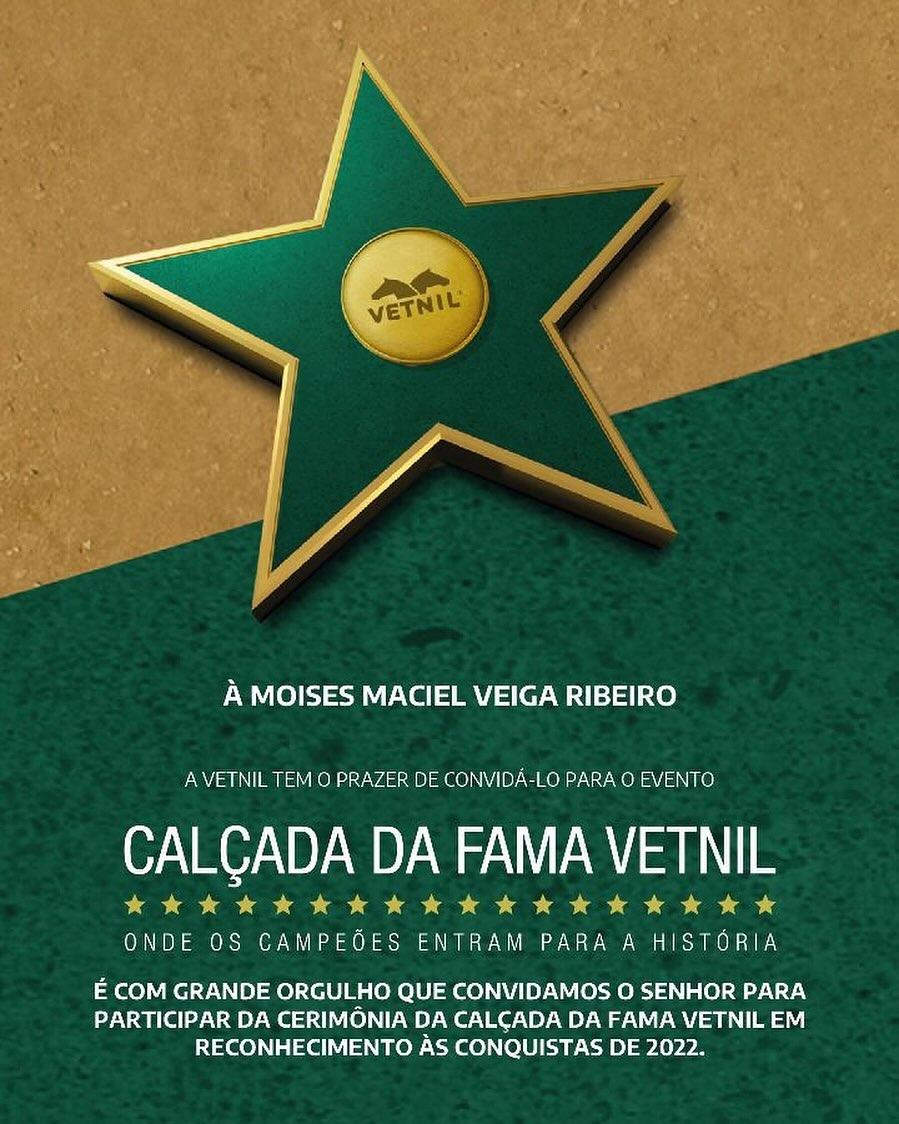 CALÇADA DA FAMA VETNIL